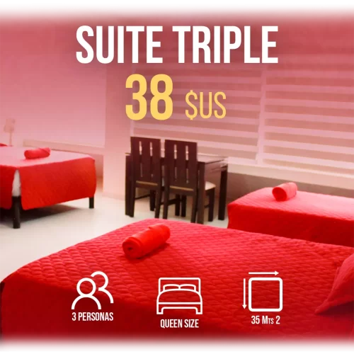 suites stz (8)